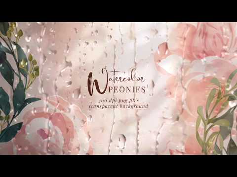 Watercolor flowers, Peony, botanical, an Illustration by Personal Epiphany (Thumbnail 6 of 7)
