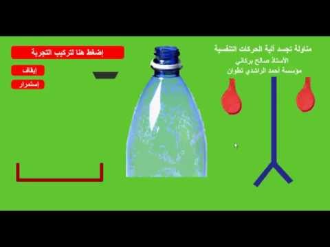 رسم الجهاز التنفسي للاطفال