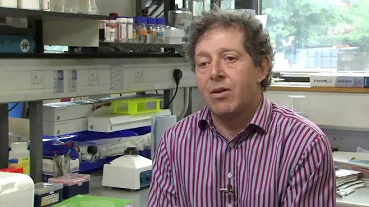 Killing the Malaria Parasite - Professor Andrew To...