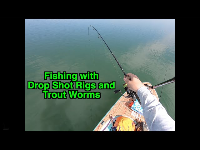 Fishing with Drop Shot Rigs and Trout Worms 