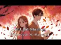 Pal Pal Mashup [ Slowed X Rever ] | Lofi Version | Chonk X Pal Pal |
