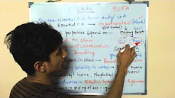 Biochemistry lecture | CSIR UGC NET life sceinces Biochemistry