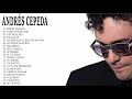 Andrs cepeda exitos salsa mix sus mejores canciones  andrs cepeda 30 exitos romanticas