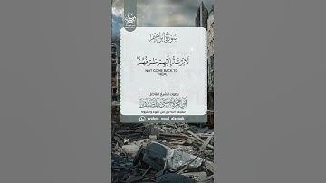 🍃 تلاوة مباركة 🍃 بصوت الشيـخ الفاضـل: *أبي حمزة عيسى_المصنف* حفظه الله ورعاه ما تيسر من سورة إبراهيم