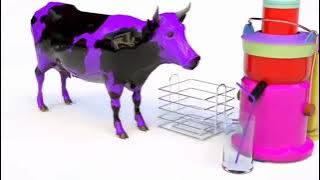 MUROTAL ANIMASI | SURAT AL-LAHAB | SAPI WARNA WARNI