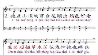 PCT2009聖詩028 天父看著雀鳥跋落