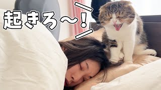 寝ているママを絶対起こしたい猫の行動が激しすぎるwww