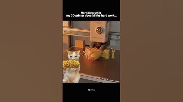 Just me & my 3D printer… | #3dprinting #meme #bambulab #3dprinter #shortsviral  #asmr #realatable