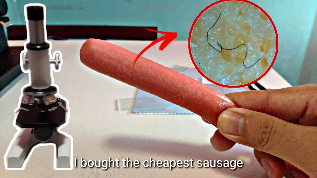 Cheapest Sausage Under Microscope | It'S Not Hair..