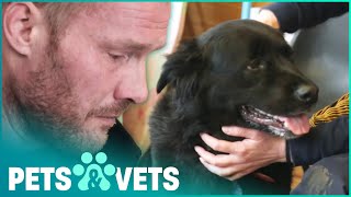 Losing His Dogs Makes This Man Emotional | The Dog Rescuers | Pets & Vets