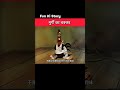 मुर्गी का चक्कर 😂 #shortvideo #trending #funny