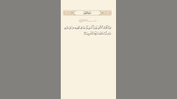 SURAH AN-NAHL AYAT 66|٦٦|سورة النحل آيت BY QARI MUHAMMAD IQBAL BIN AHMAD #quraan #qurantilawat #qari