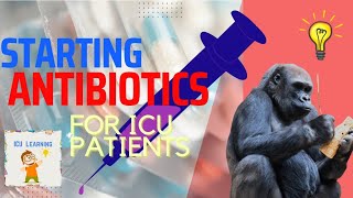 How do I start antibiotics for ICU patients? screenshot 2