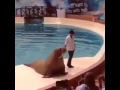 Танцор диско !!!!
