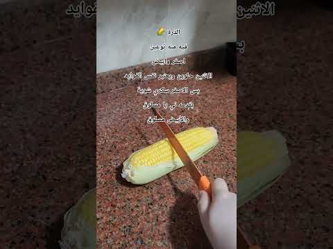 لما بسلقه بسيبه في ماية عشان يبرد واقدمه بارد 
