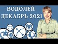 ВОДОЛЕЙ ДЕКАБРЬ 2021: Расклад Таро Анны Ефремовой 12+