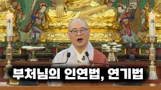 [#광우스님]부처님의 인연법, 연기법(BBS정기법회 광우스님)