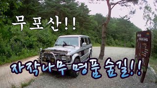 무포산 영상