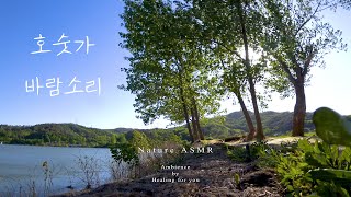 | ASMR 자연의소리 8시간 | 호숫가 바람소리, Lake waves and Strong winds.