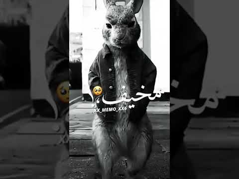 حالات واتس مهرجانات٢٠٢١ حالات واتس عصام صاصا حالات واتس مهرجان عالم بارد اتقلب الحال مشيت شمال