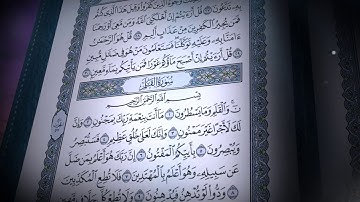 سورة القلم | صلاح بو خاطر