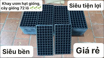Khay ươm hạt giống, cây giống nhựa đen cứng 72 lỗ siêu tiện lợi, siêu bền. Giá tại xưởng 0869593886 