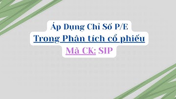 Áp Dụng Chỉ Số P/E Trong Phân Tích Cổ phiếu SIP - CTCP Đầu tư Sài Gòn VRG