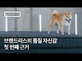 브랜드리스의 품질 자신감, 첫 번째 근거｜브랜드리스