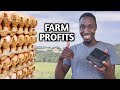 HOW MUCH I Made Selling Eggs | Farm Profits Q3 2020