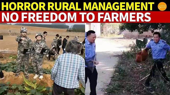 Horror Rural Management: Catching Chickens, Picking Veggies, Taking Refrigerators Away - DayDayNews