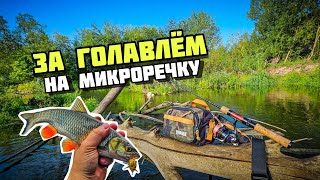 Блёсны и тараканы MAD FISH | Как я ловил голавля на уральской микроречке