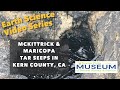 McKittrick and Maricopa Tar Seeps in Kern County, California