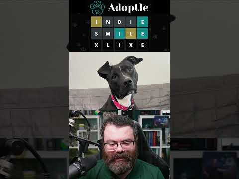 What's this dog's