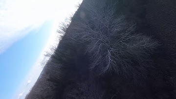 Sinematik flow :) Session 5 + RSGo