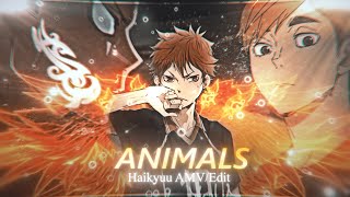 Animals I Haikyuu [AMV/Edit] Resimi