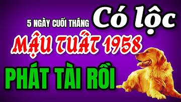Tử Vi 5 Ngày Cuối Tháng 10 Âm. Mậu Tuất 1958 Giàu Có Rực Rỡ, Tiền Bạc Đầy Tay, Cuộc Sống Thăng Hoa!