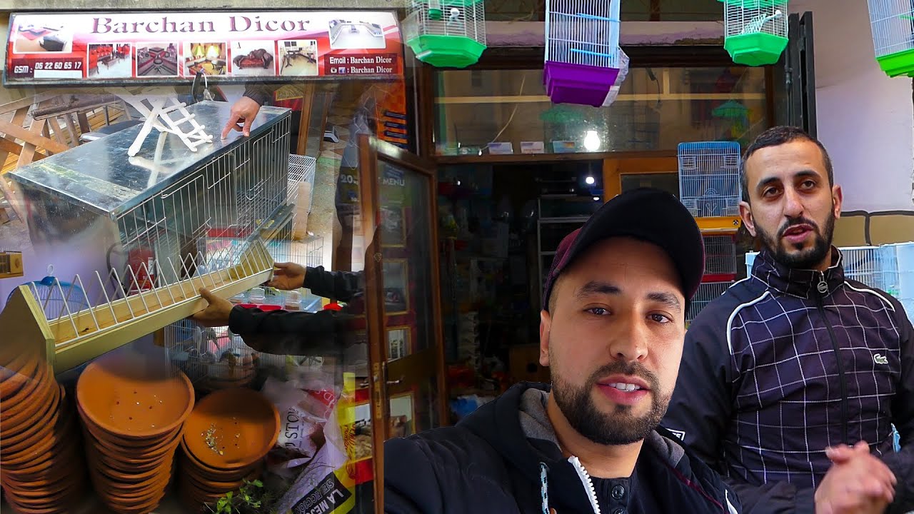 ذهبت إلى محل بيع مستلزمات الحمام وطيور عند عبدالباري برشان