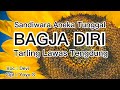 Bagja Diri - Devi | Sandiwara Aneka Tunggal | Tarling Lawas Tengdung | Lagu Cirebon