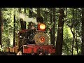 Roaring Camp & Big Trees Railroad: The Redwoods Experience