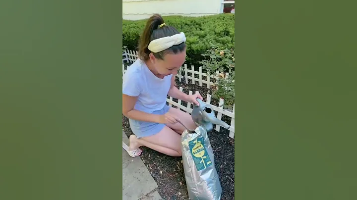 Best Hack! Free Coffee Grounds to help Garden plants grow! Share this one! ￼