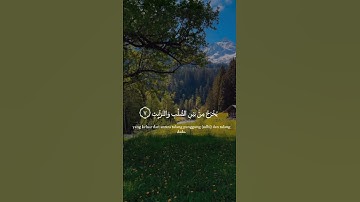 سورة الطارق #القرآن_الكريم #القرآن #اكسبلور #دويتو #duet