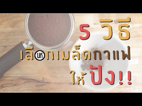 Coffee Talk With นที EP.15 | 5 วิธี เลือกเมล็ดกาแฟ ให้ปัง!!