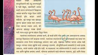 Class 9, Marathi, L.No.11, AAbhalaatlya Paulwata explanation with answers explained