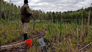 Риболовля на карася після морозної ночі