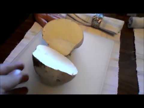 Puffball Mushroom Identification / Is That Puffball Mushroom Edible? Bushcraft Wild Edibles