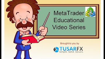 MetaTrader 4 Trading terminal environment intro