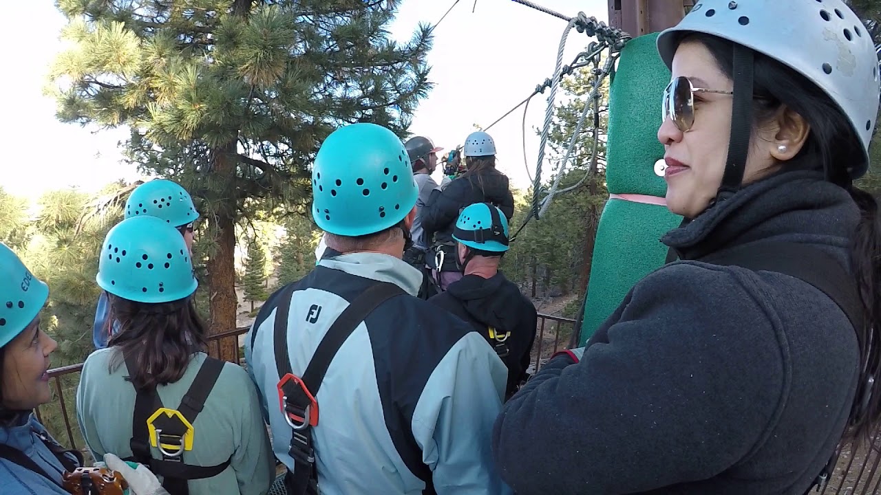 Zipline Action