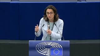 Intervento in Plenari a Strasburgo di Irene Tinagli, europarlamentare del Partito democratico, sulla revisione del patto di stabilit à e crescita.