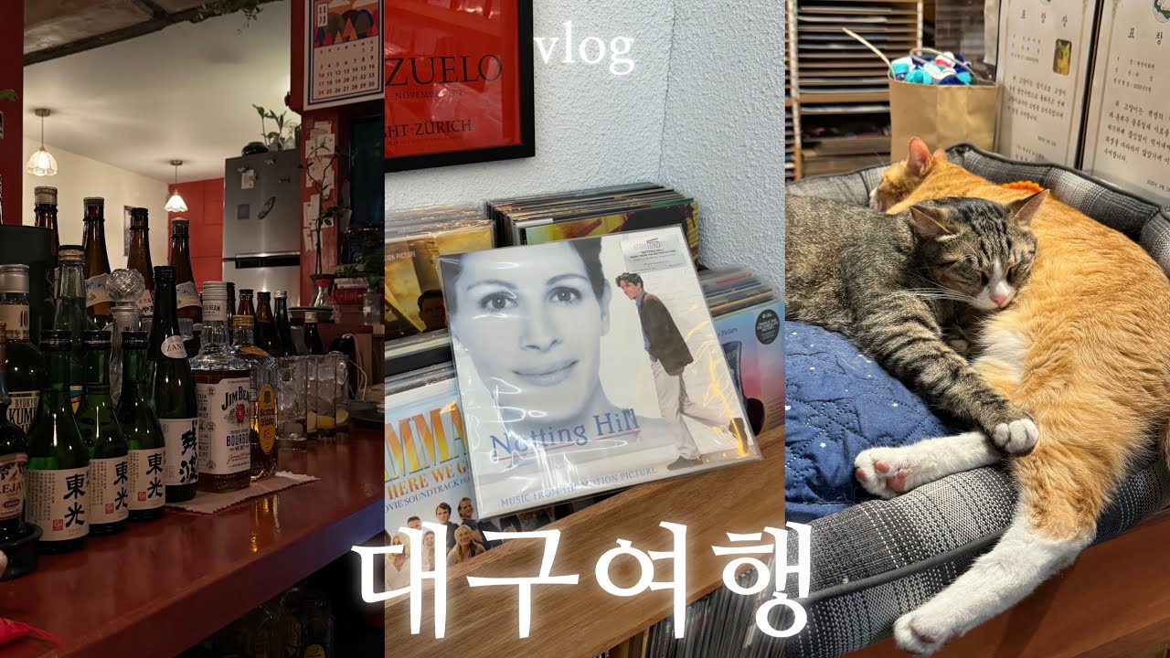 혼자 첫 대구 여행 vlog | 대구 이르케 재밌다고 왜 아무도 안 알려줬냐며⋯💭 대구 혼밥 & 혼술 맛집, 라떼맛집 카페, 책방을 곁들인 고양이 🐈, 소품샵, 빵 맛집 추천