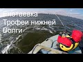 Енотаевка -  Трофеи нижней Волги